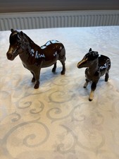 Beswick pony foal for sale  NEWARK