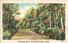 Postcard greetings wellington for sale  Meadow Bridge