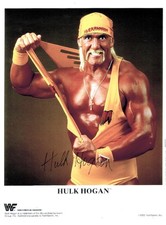Hulk hogan wrestling gebraucht kaufen  Schrobenhausen