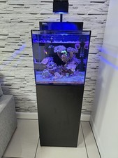 Red sea reefer for sale  WASHINGTON