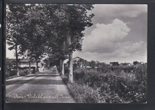 Cartolina pieris viale usato  Italia