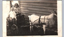 Goat wagon little for sale  Davenport