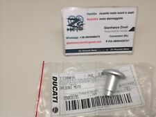 71110901a ducati monster usato  Conversano