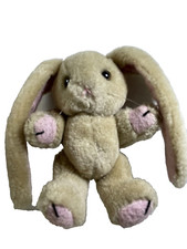 Floppy long ear for sale  Lancaster