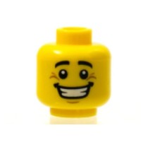 Lego part 3626pb0604 d'occasion  Le Loroux-Bottereau
