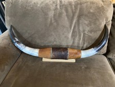 Mounted steer horns for sale  Weatherford