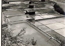 Ancienne photo 1965 d'occasion  Nogent-sur-Marne