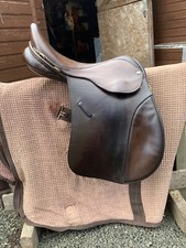 Ideal working hunter for sale  KINROSS