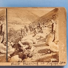 Stereoview card real for sale  TELFORD
