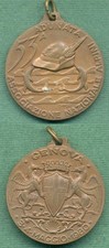 Alpini adunata nazionale usato  Fontegreca