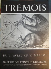 Pierre yves trémois d'occasion  Périgueux