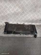 Radiatore acqua guarda usato  Roma
