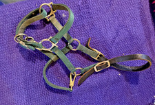 Green weanling adjustable for sale  Antrim
