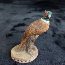 North light pheasant for sale  GATESHEAD
