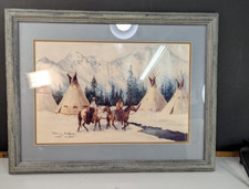 Patricia mcallister indian for sale  Sweetwater