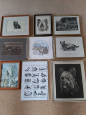 Skye terrier prints for sale  INNERLEITHEN