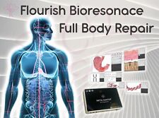Dispositivo Scanner Corporal Meta Hunter NLS 4025 Metapathia Pro Bioresonance - 2024 comprar usado  Enviando para Brazil