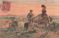 Illustrated goat goat d'occasion  Expédié en Belgium