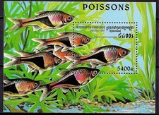 Cambogia 1997 pesce usato  Trambileno