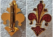 Distintivo calcio fiorentina usato  Capannori