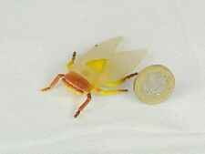 Fly bug insect for sale  BLACKPOOL