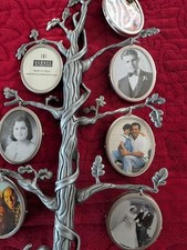 Family tree burns for sale  Shingle Springs