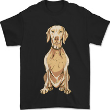 Hungarian vizsla posing for sale  COVENTRY