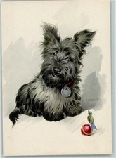 39159575 terrier usato  Spedire a Italy