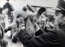 Vintage londra zoo usato  Roma