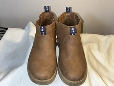 Cat jack little for sale  Champaign