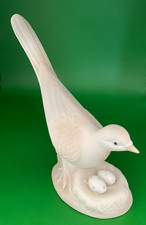 Porceval dove eggs for sale  Redding