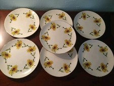 Set salad plates for sale  North Port