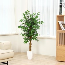 Artificial ficus plant for sale  SALFORD