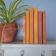 Books staging decor for sale  Queensbury