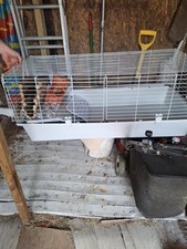Guinea pig cage for sale  MAIDSTONE