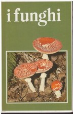 Funghi 1986 vallardi usato  Signa