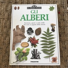 Gli alberi david usato  Villarbasse