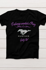 Lady pony stang for sale  Batavia