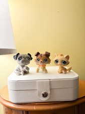 Rare lps collie for sale  Lutz