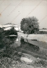1970 rastignano fiume usato  Cremona