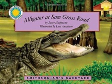 Alligator saw grass for sale Alligator saw grass for sale  UK