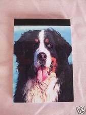 Carnet aimanté feuilles d'occasion  Troyes