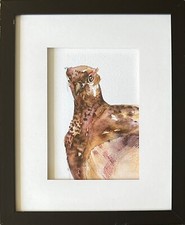 Grouse charming original for sale  ST. ANDREWS