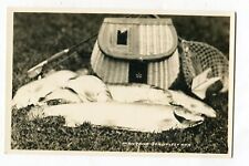 Montana rppc fish for sale  Glenmoore