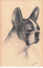 Dog terrier illustrator d'occasion  Expédié en Belgium