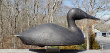 1940 fine canvasback for sale  Southampton