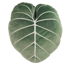 Green philosophy philodendron for sale  Mount Olive