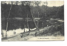 Bois meudon etang d'occasion  Expédié en Belgium