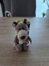 Nici schlüsselanhänger anhä gebraucht kaufen  Bad Zwischenahn