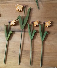 Land art narzissen gebraucht kaufen  Horb am Neckar